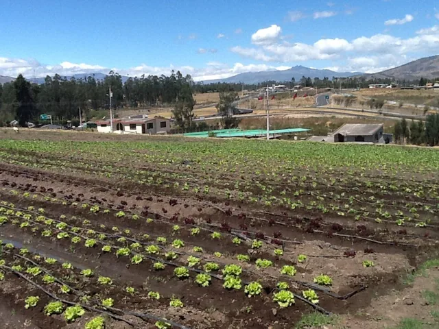 Terreno Plano 1934 m Tababela — imagen 4