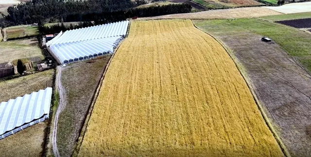 Se Vende Terreno de 5,05 Hectáreas en Cayambe – Olmedo / Pesillo — imagen 5