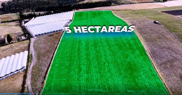 Se Vende Terreno de 5,05 Hectáreas en Cayambe – Olmedo / Pesillo — imagen 3