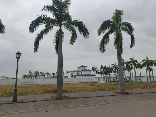 Terreno Comercial en Venta de 3.740 m² en Vía a Samborondón Km 10, Nuevo Samborondon, Guayas — imagen 5