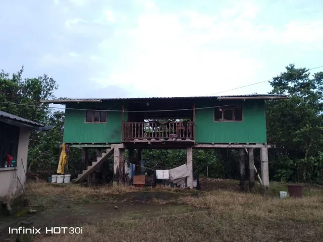 Finca Productiva de 5 Hectáreas con Cacao en Pedro Vicente Maldonado Precio: $95.000 Negociables — imagen 3