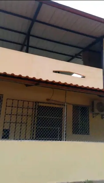 1 Hectárea Cacaotera, con Casa de Hormigón en Puerto Quito – a 100 m de La Vía Asfaltada. Provincia de Pichincha — imagen 5