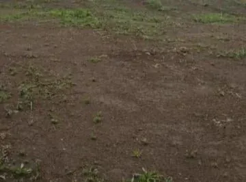 Se Vende o Se Arrienda Terreno Sector Parque Bicentenario — imagen 5
