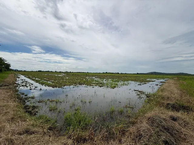 Terreno Agricola en Venta 3,46 Has en Taura - N, Guayas — imagen 5