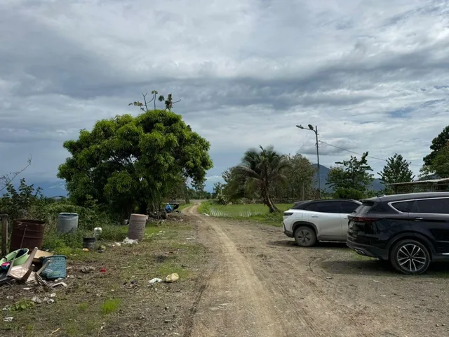 Terreno Agricola en Venta 3,46 Has en Taura - N, Guayas — imagen 2