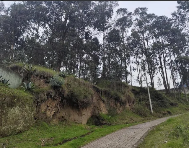 Terreno en Venta, Sector Puengasi Antigua Vía a Conocoto — imagen 5