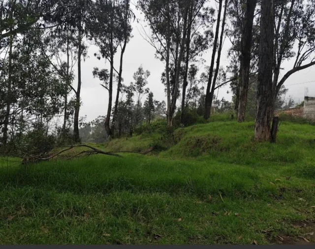Terreno en Venta, Sector Puengasi Antigua Vía a Conocoto — imagen 3