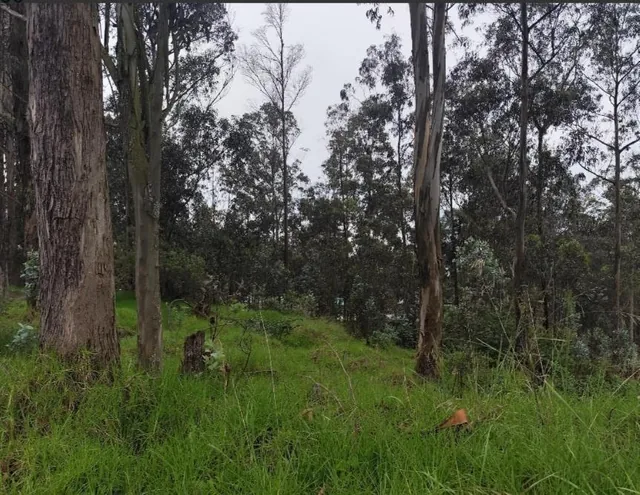 Terreno en Venta, Sector Puengasi Antigua Vía a Conocoto — imagen 2