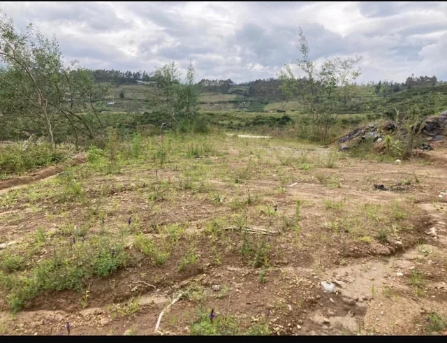 Terreno en Urbanización de Lujo Terraviva — imagen 5