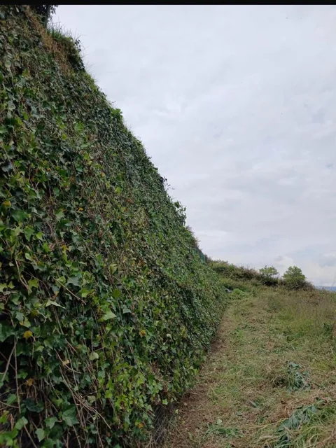 Terreno en Urbanización de Lujo Terraviva — imagen 2
