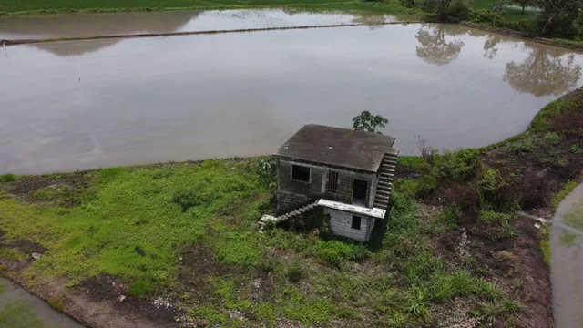 Terreno Agrícola en Venta en Naranjal, Guayas — imagen 5