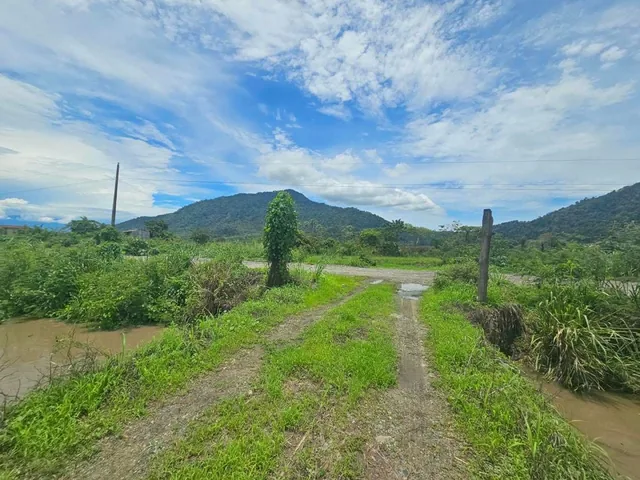 Terreno Agrícola en Venta en Naranjal, Guayas — imagen 4