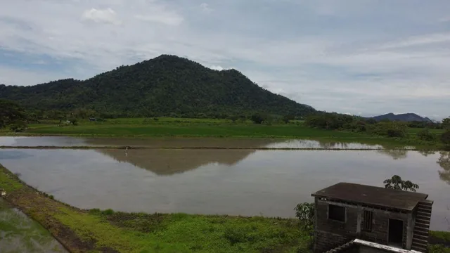Terreno Agrícola en Venta en Naranjal, Guayas — imagen 3