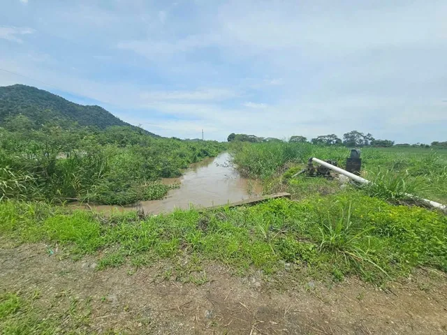 Terreno Agrícola en Venta en Naranjal, Guayas — imagen 2