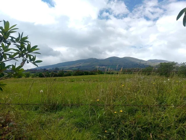 Vendo Terreno Sector Machichi — imagen 5