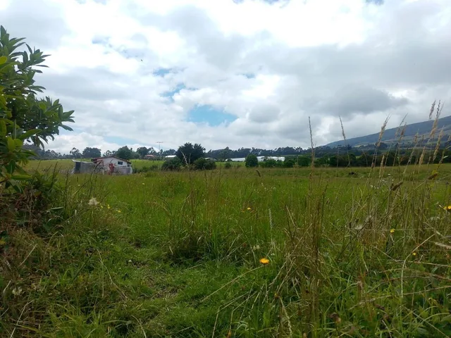 Vendo Terreno Sector Machichi — imagen 4