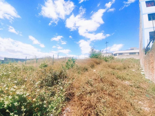 La Florida Vendo Lindo Terreno de 434 m² Regularizado — imagen 5