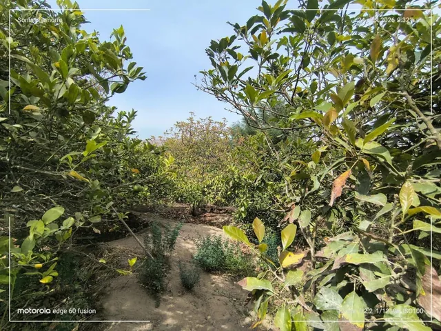 Casa con Terreno en Venta Sector Guayllabamba (Coop La Sofia) — imagen 4