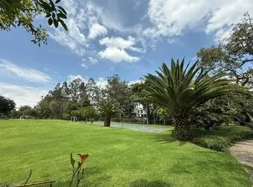 Terreno Para Proyecto de Venta en Puembo! — imagen 5