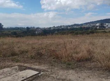 Arriendo Terreno en Pifo a La Vía Principal — imagen 4