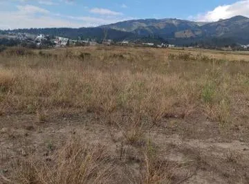 Arriendo Terreno en Pifo a La Vía Principal — imagen 3