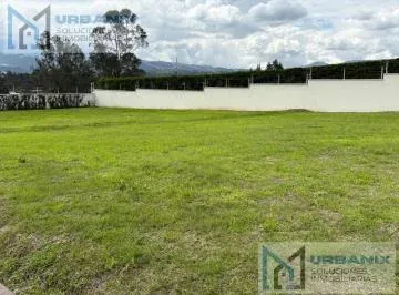 Terreno en Puembo — imagen 3