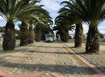 Oportunidad Única de Inversión en Tumbaco — imagen 3