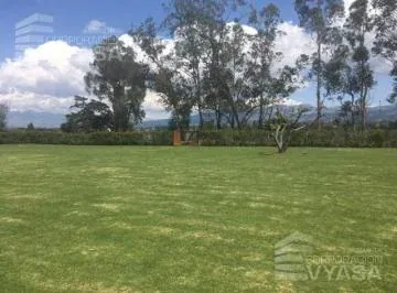 Puembo - Cerca Al Parque, Hermoso Terreno de 3.500 m² en Venta — imagen 4