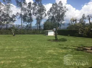 Puembo - Cerca Al Parque, Hermoso Terreno de 3.500 m² en Venta — imagen 3