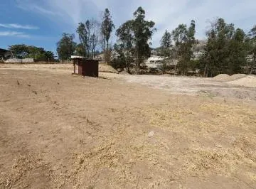 Se Arrienda Terreno Sector Llano Chico — imagen 4