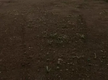 Se Arrienda Terreno Sector Parque Bicentenario - Antiguo Aeropuerto — imagen 3
