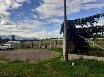 Pifo Arriendo Terreno de 40.000 en Oyambaro — imagen 5