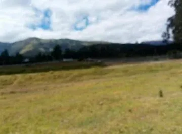 Pifo Arriendo Terreno de 40.000 en Oyambaro — imagen 4