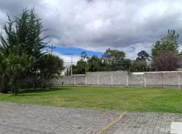 Hermosa Casa en Venta Sector Alangasi — imagen 2