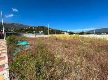 Se Arrienda Terreno en Via Principal de La Ruta Viva Tumbaco — imagen 5