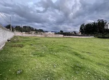 Terreno en Alquiler Pifo Carreterra Panamericana Via Aeropuerto — imagen 5