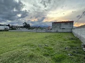Terreno en Alquiler Pifo Carreterra Panamericana Via Aeropuerto — imagen 3
