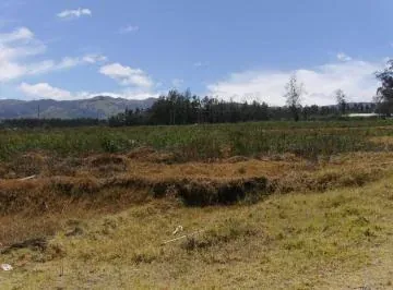 Vendo Terreno en Checa 34,30 Hectáreas $ — imagen 4