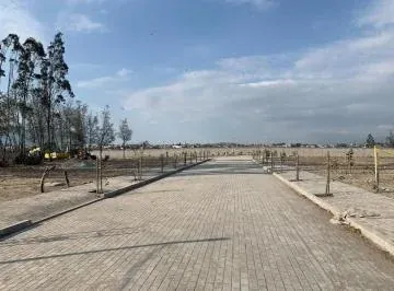 Venta de Terreno Llano Chico 2.000 m² Urb. El Arupo II, Av Simón Bolívar — imagen 5