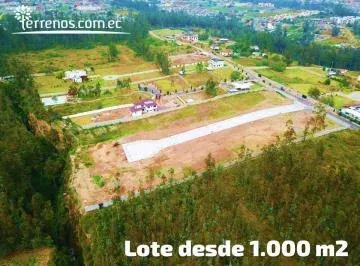 Venta de Terreno Llano Chico 2.000 m² Urb. El Arupo II, Av Simón Bolívar — imagen 2