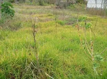 Se Vende Terreno Plano Sector Garcia Moreno San Pedro de Pelileo, Tungurahua — imagen 3