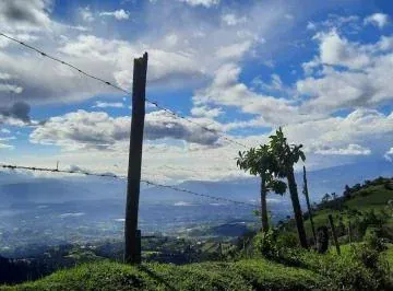 Vendo Terreno m (40 Hectáreas) en Lo Alto de Yaruqui — imagen 5