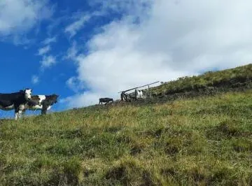 Vendo Terreno m (40 Hectáreas) en Lo Alto de Yaruqui — imagen 4