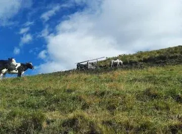 Vendo Terreno m (40 Hectáreas) en Lo Alto de Yaruqui — imagen 3