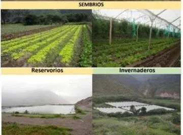 Se Vende Finca Productiva de 2,400 Has — imagen 5