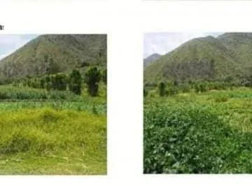 Se Vende Finca Productiva de 2,400 Has — imagen 2