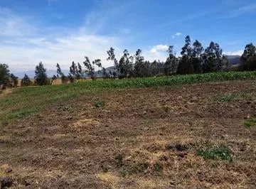 Terrenoterreno en Venta Sector Inga, 91,78 Has, Hacienda, Ruta E35 — imagen 4