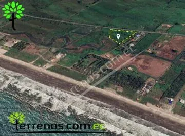 Terreno en Terreno de Venta en Cojimíes 8.440 m², Vía Pedernales - Cojimíes, Manabí — imagen 3