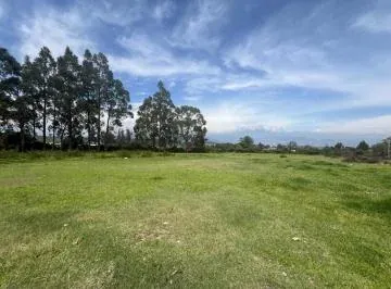 Pifo Se Vende Terreno Ideal Constructores con Hermosa Vista (Cr) — imagen 4