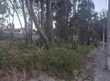 Terreno en La Urbanización La Marca 490 m², Vía Calacalí. Vivienda Unifamiliar. Provincia de Pichincha — imagen 2
